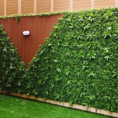 WhatsApp Image 2021-01-15 at 5.35.27 PM (1)