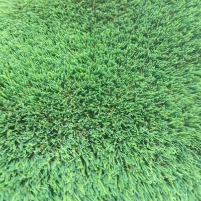 WhatsApp Image 2024-08-21 at 19.29.11_686ce2c9